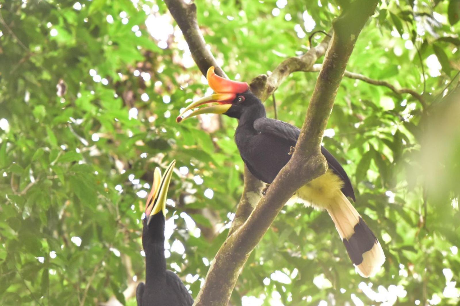 R5 Keramba Inn Bukit Lawang Dış mekan fotoğraf